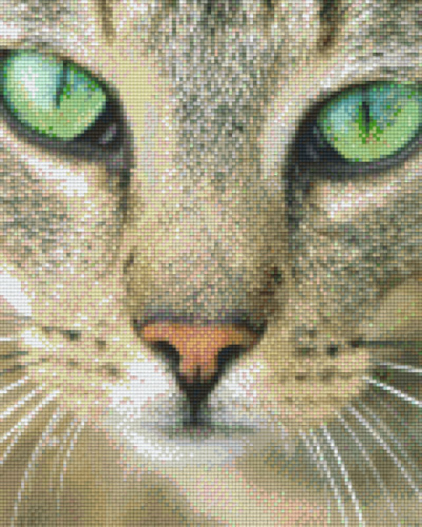 Close Up Green Eyed Cat Nine [9] Baseplate PixelHobby Mini-mosaic Art Kit image 0